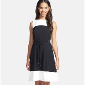 Ivanka Trump Navy and White Dress